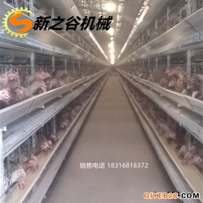 广东养殖设备那家好 当选新之谷蛋鸡白鸽自动设备