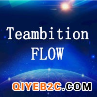 Teambition Flow企业版