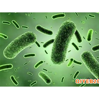 高效诺福消毒杀菌剂治理食品微生物超标