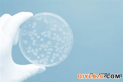 专业诺福消毒杀菌剂 预防微生物超标