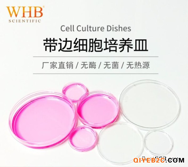 WHB带边细胞培养皿