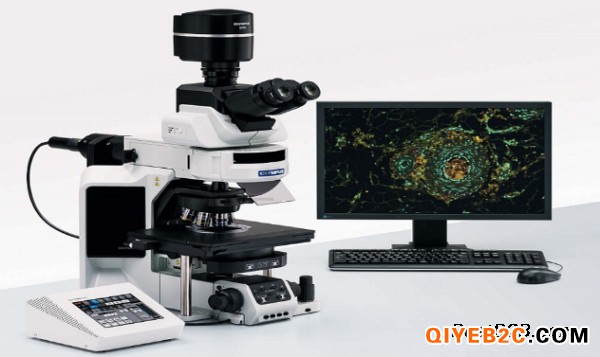 日本奥林巴斯倒置生物显微镜MX63