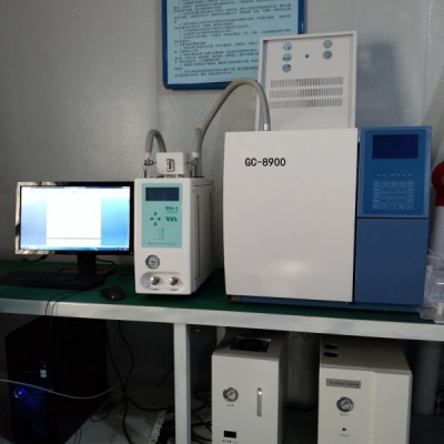 苯系物气相色谱分析仪GC—8900