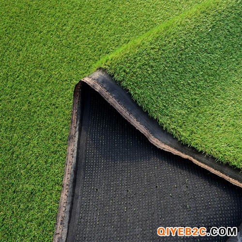 洛阳市铭邦供应草皮草坪草坪地毯