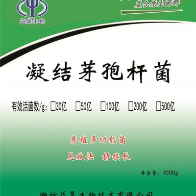 100亿凝结芽孢杆菌 畜禽饲料添加剂原料