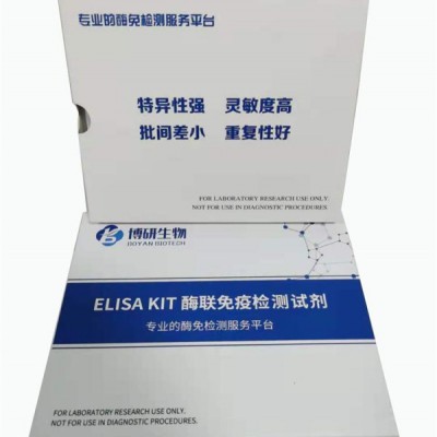 人γ干扰素（IFN-γ）ELISA试剂盒