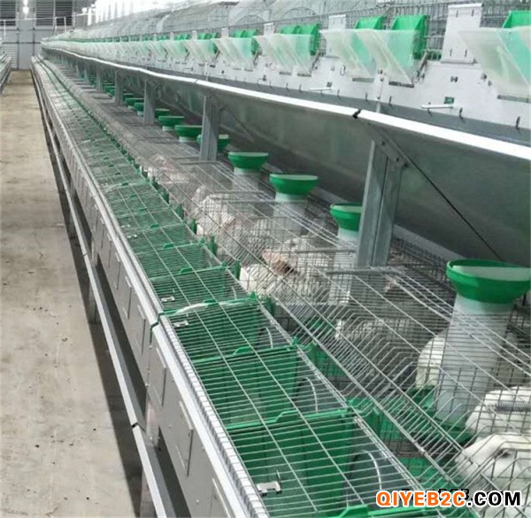 热镀锌兔笼 新型兔子繁殖笼 自动清粪欧式兔笼