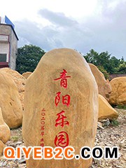 广东深圳校园毕业季母校纪念石文化石