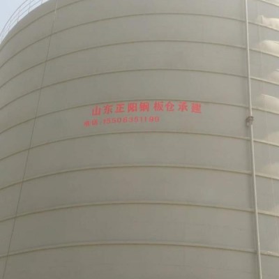 宜春5000吨矿粉储存罐