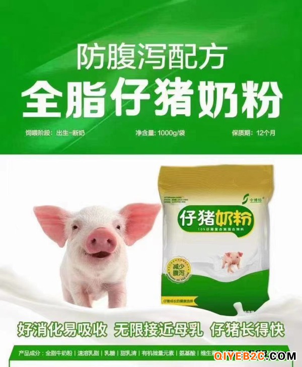 将后备母猪培育成合格母猪的方法及仔猪奶粉的特点