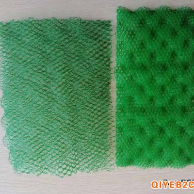 三维土工网垫三维植被网三维网垫植草护坡EM2两层