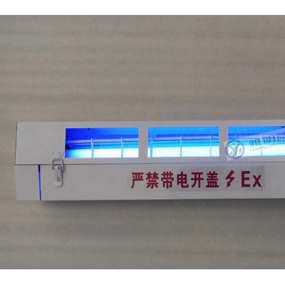 制药厂ExdIIBT6Gb防爆灭蚊灯