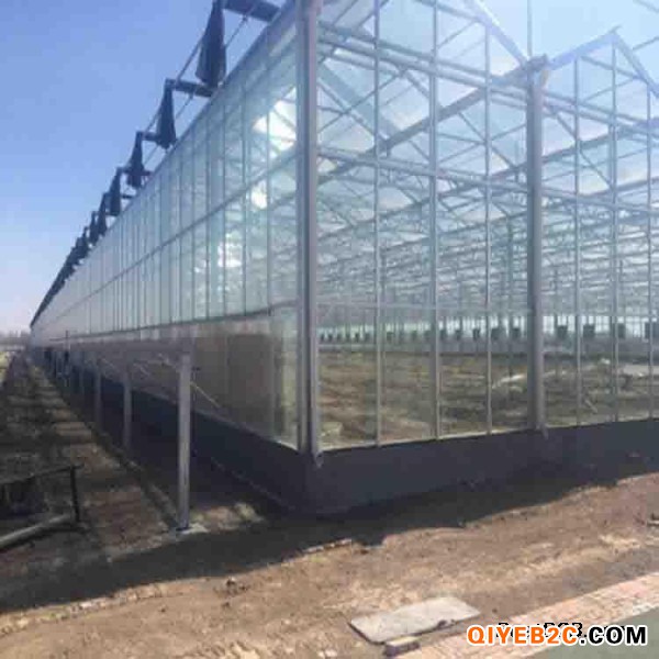 智能玻璃温室大棚连栋花卉蔬菜养殖大棚 承接玻璃大棚