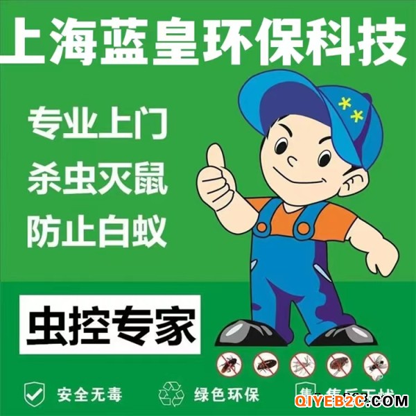 上海闵行区上门除虫服务 灭蟑螂专业上门服务