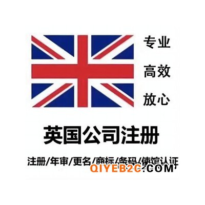 英国公司注册说明书